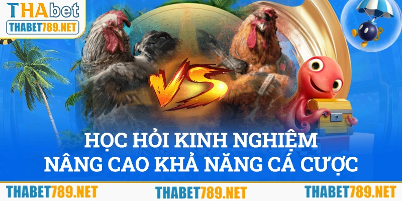 Bạn nên học hỏi nhiều kinh nghiệm để nâng cao kỹ năng cược đá gà Thabet