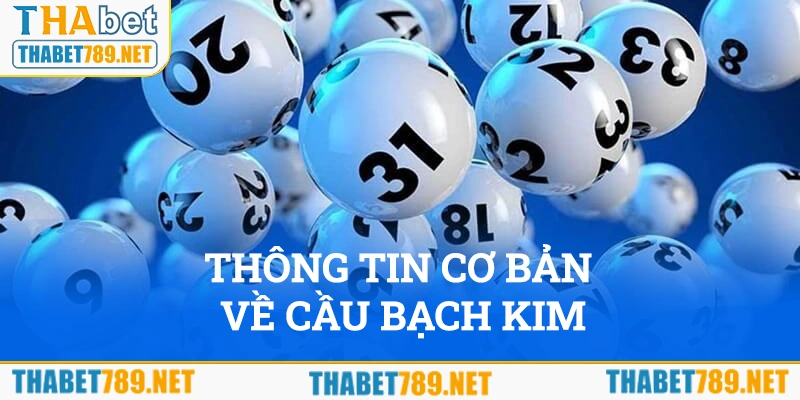 Tìm hiểu thông tin cơ bản về cầu bạch kim