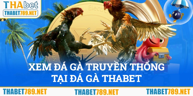 Xem đá gà truyền thống tại nền tảng Thabet